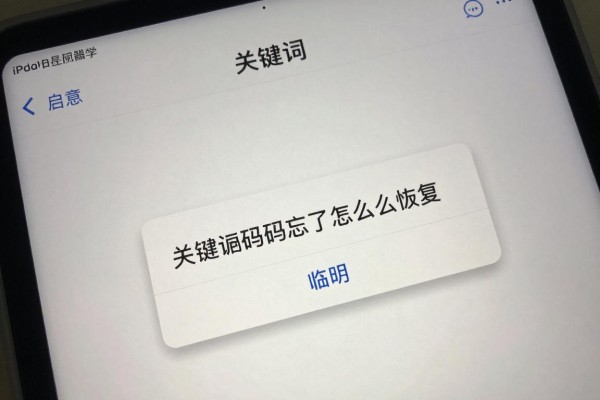 iPad密码忘记了怎么恢复?