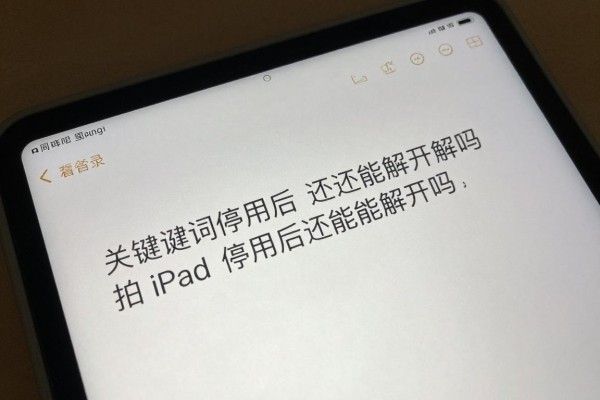 iPad停用后还能解开吗