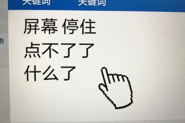 屏幕停住鼠标点不了是什么问题?