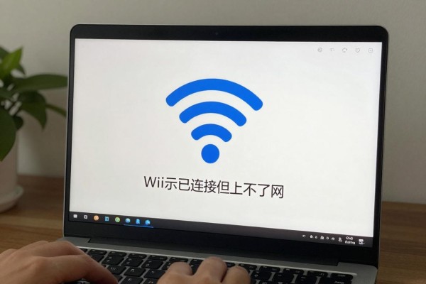 WiFi显示已连接但上不了网