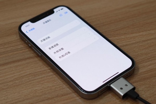 iPhone外接U盘的OTG设置方法