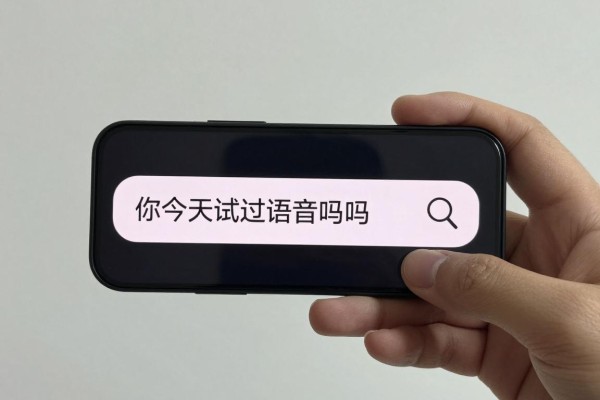 你今天试过语音搜索吗