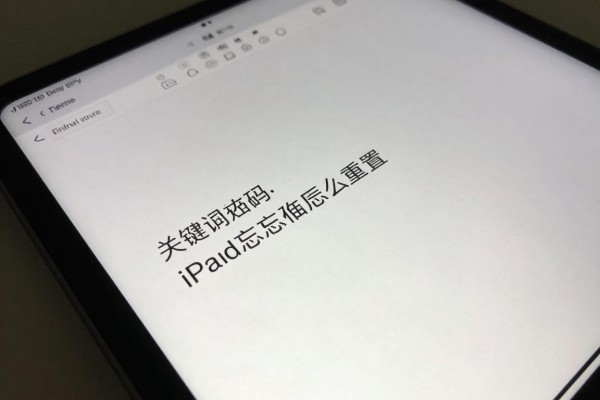 iPad密码忘记后怎么重置？