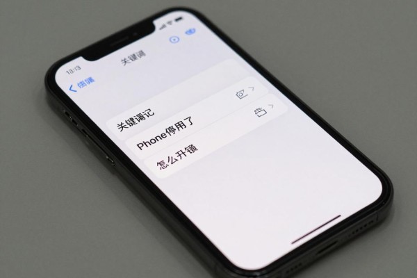 iPhone停用了怎么解锁？