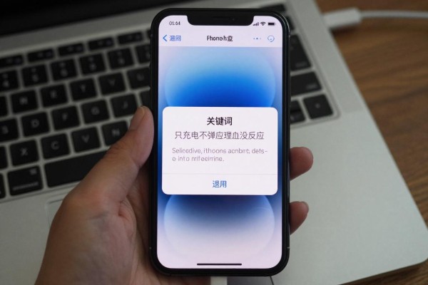 iPhone接电脑只充电不弹窗没反应?