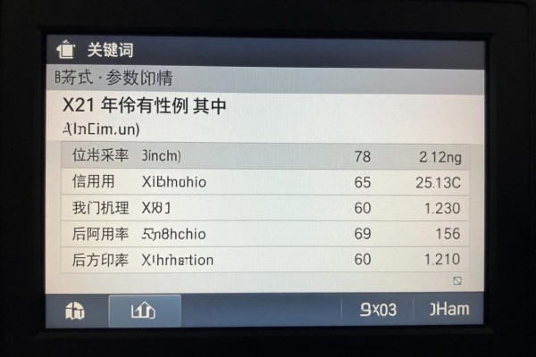 X21参数详情能给一份吗？