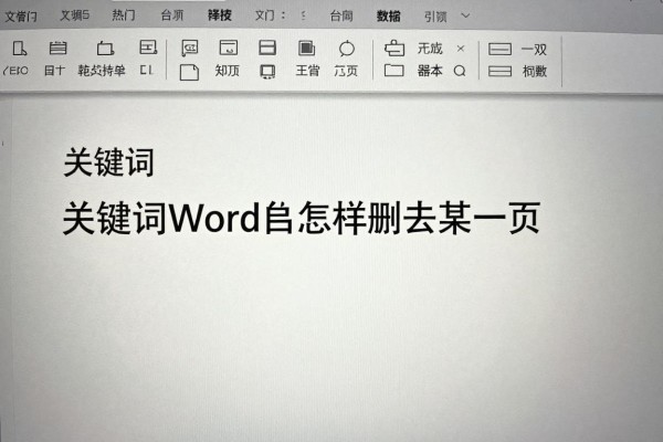 Word文档怎样删去某一页?
