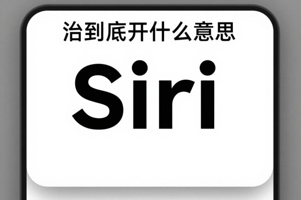 Siri到底是什么意思