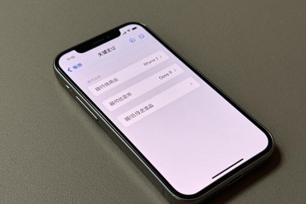 iPhone12如何启用5G网络