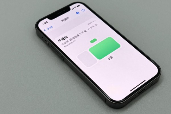 iPhone13电池电量百分比在哪开