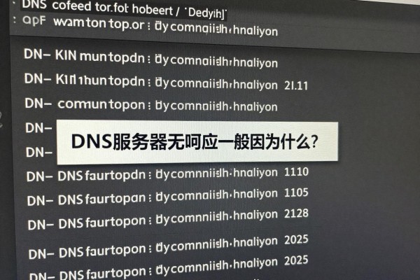 DNS服务器无响应一般因为什么