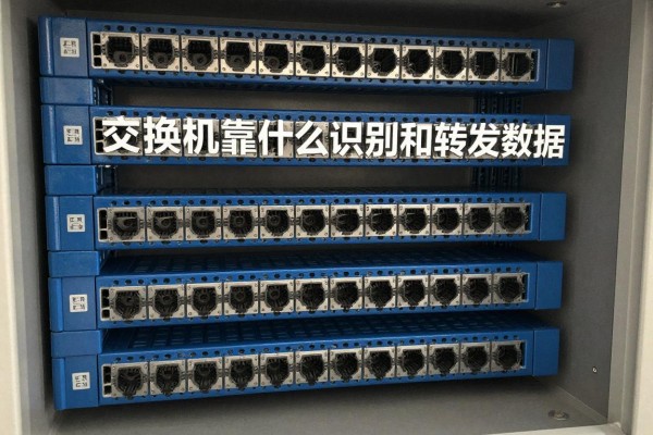 交换机靠什么识别和转发数据?