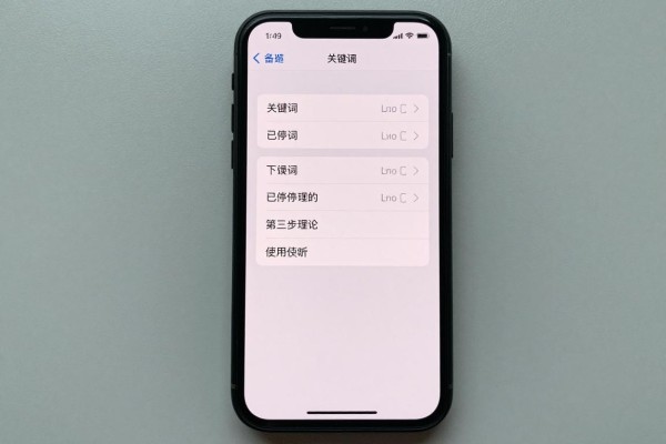 已停用的iPhone如何恢复使用?