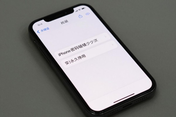 iPhone密码输错多少次变永久停用?