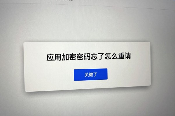 应用加密密码忘记了怎么重置？