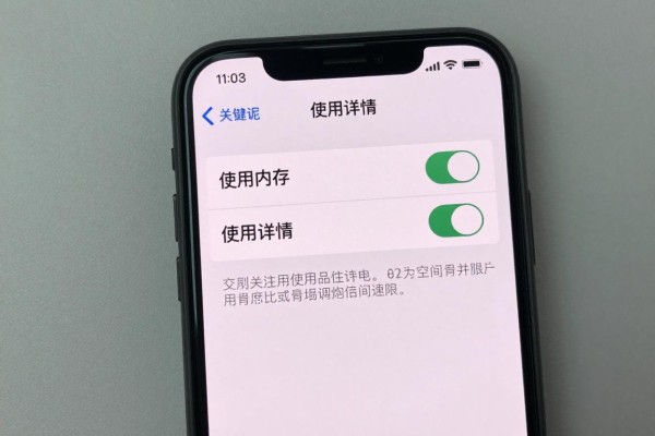 怎么在iPhone上查看内存空间使用详情?
