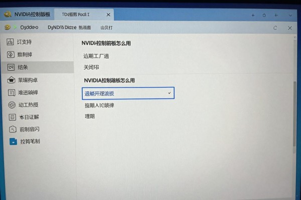 NVIDIA控制面板怎么用？