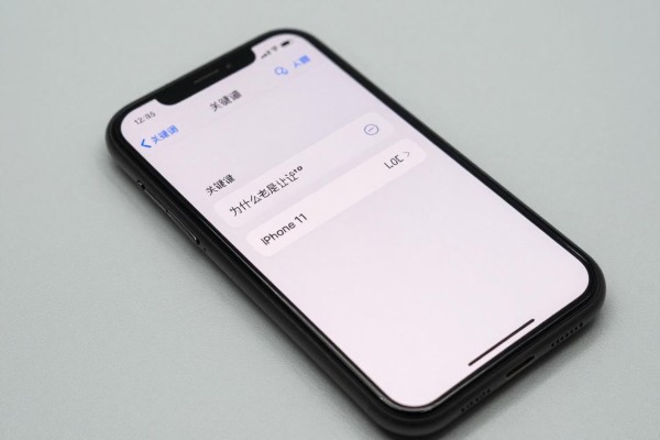 iPhone11为什么老是让输ID密码？