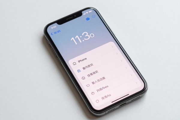 iPhone 11 Pro参数信息哪里查?